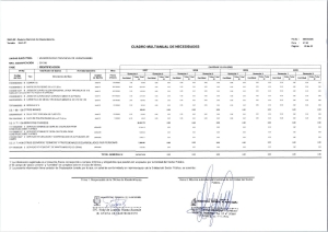 CUADRO MULTIANUAL DE NECESIDADES 2027-2029-ANEXO N&deg;2 FASE DE IDENTIFICACION